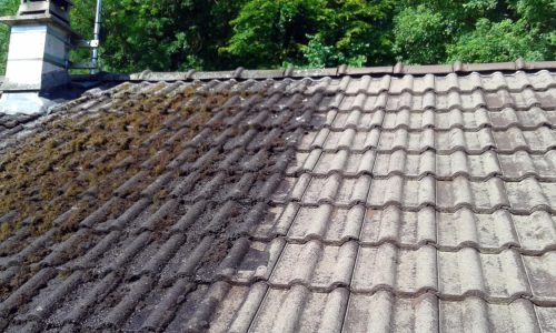 nettoyage-demoussage-toiture-nice-feresdron